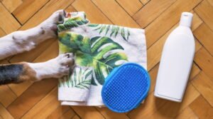 dog, dog shampoo, dog wash